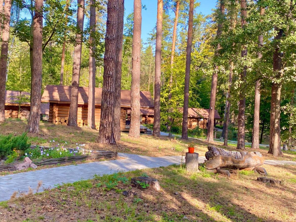 Resort Stariy Prud Pylypovychi Buitenkant foto