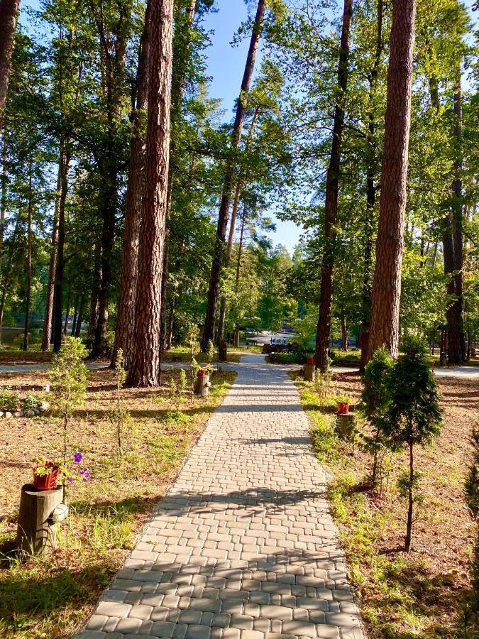 Resort Stariy Prud Pylypovychi Buitenkant foto